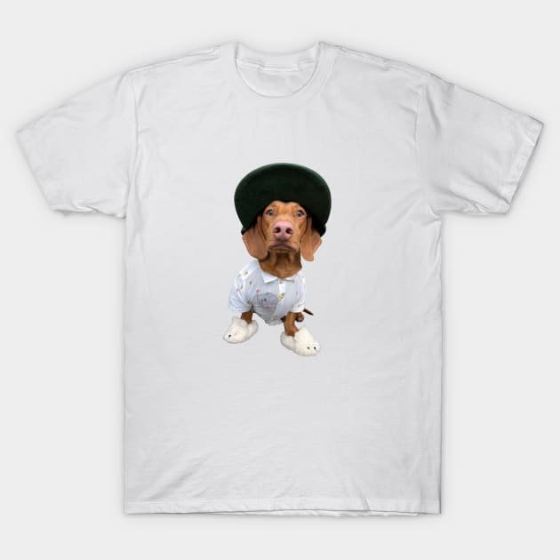 Biscuit Superdog T-Shirt by Biscuit